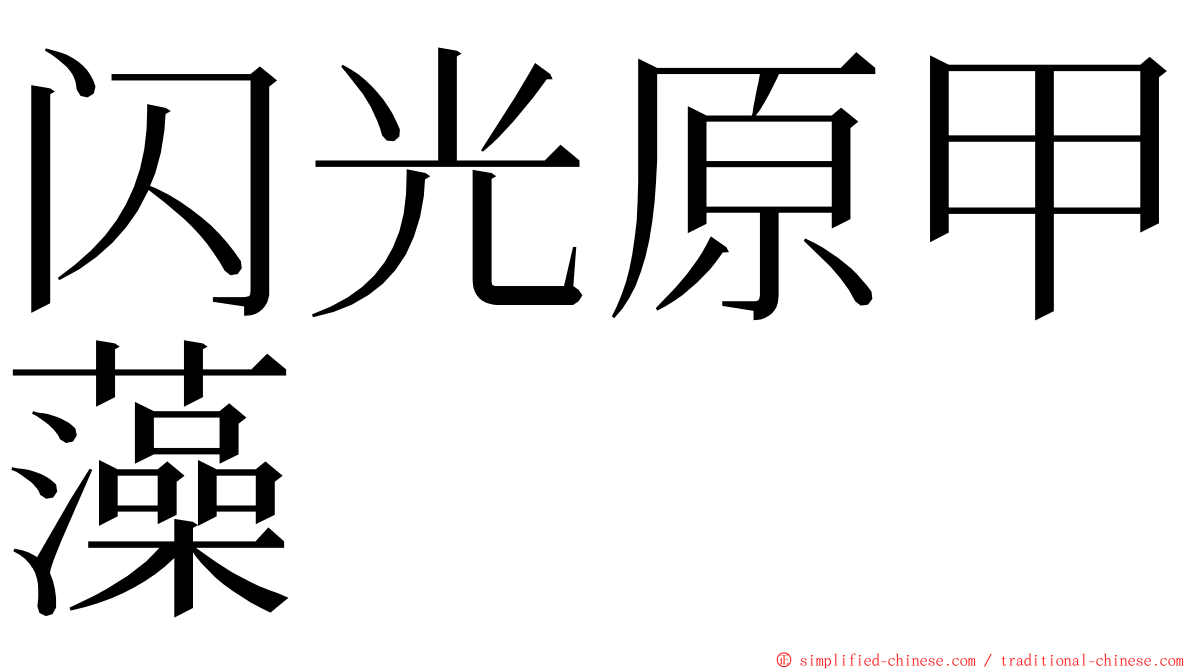 闪光原甲藻 ming font