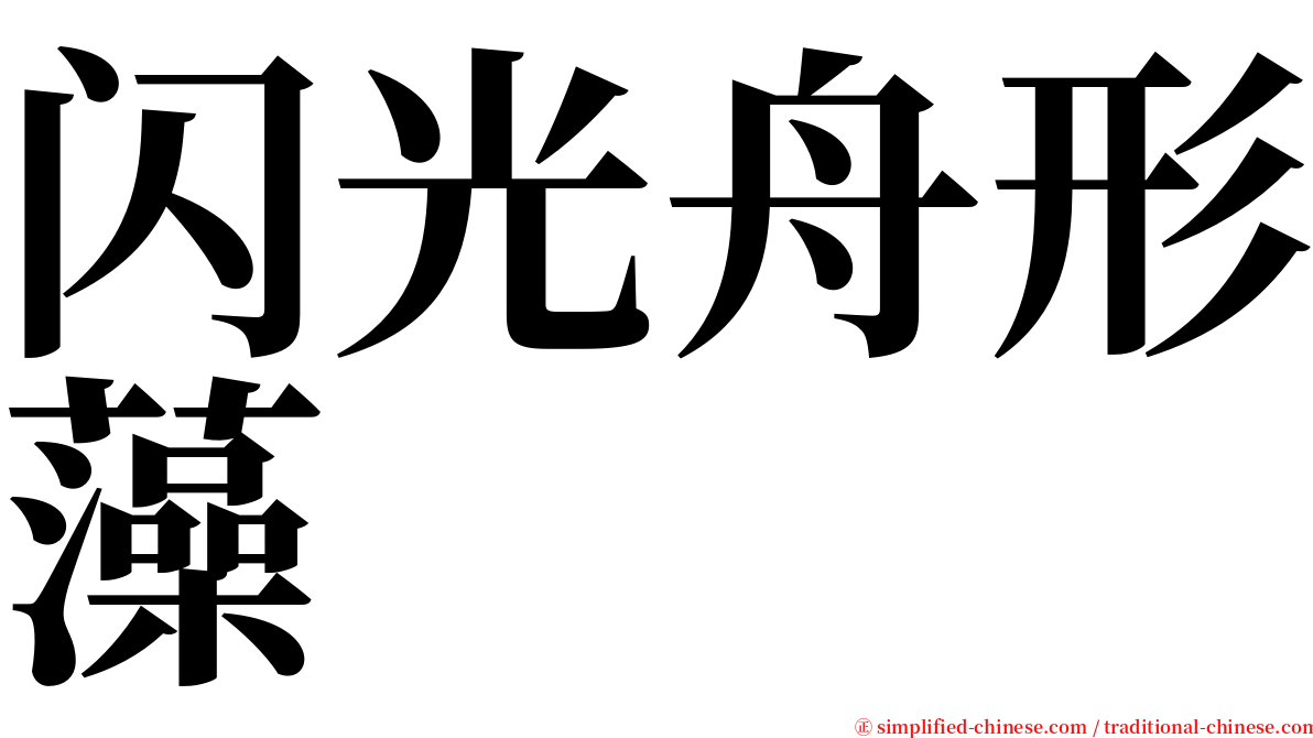 闪光舟形藻 serif font