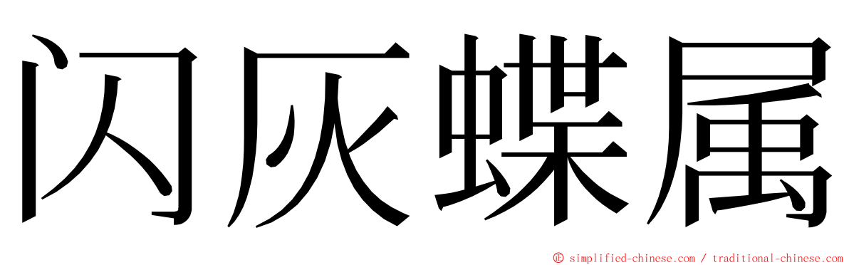 闪灰蝶属 ming font