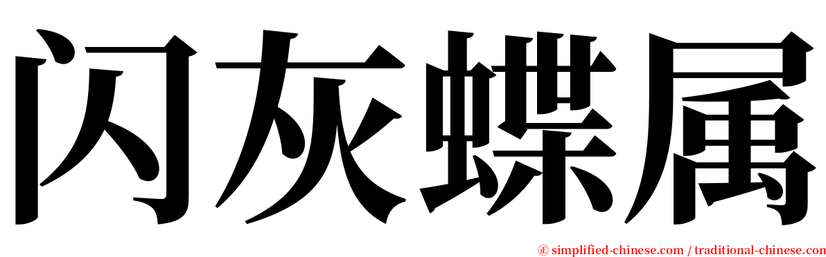 闪灰蝶属 serif font