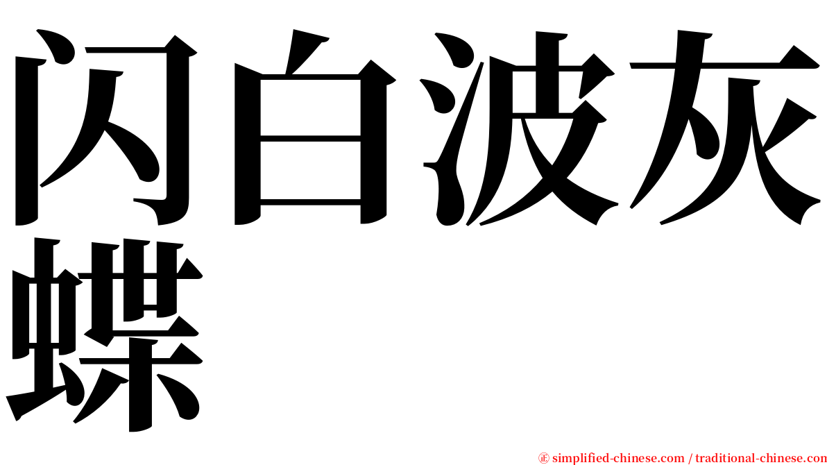 闪白波灰蝶 serif font