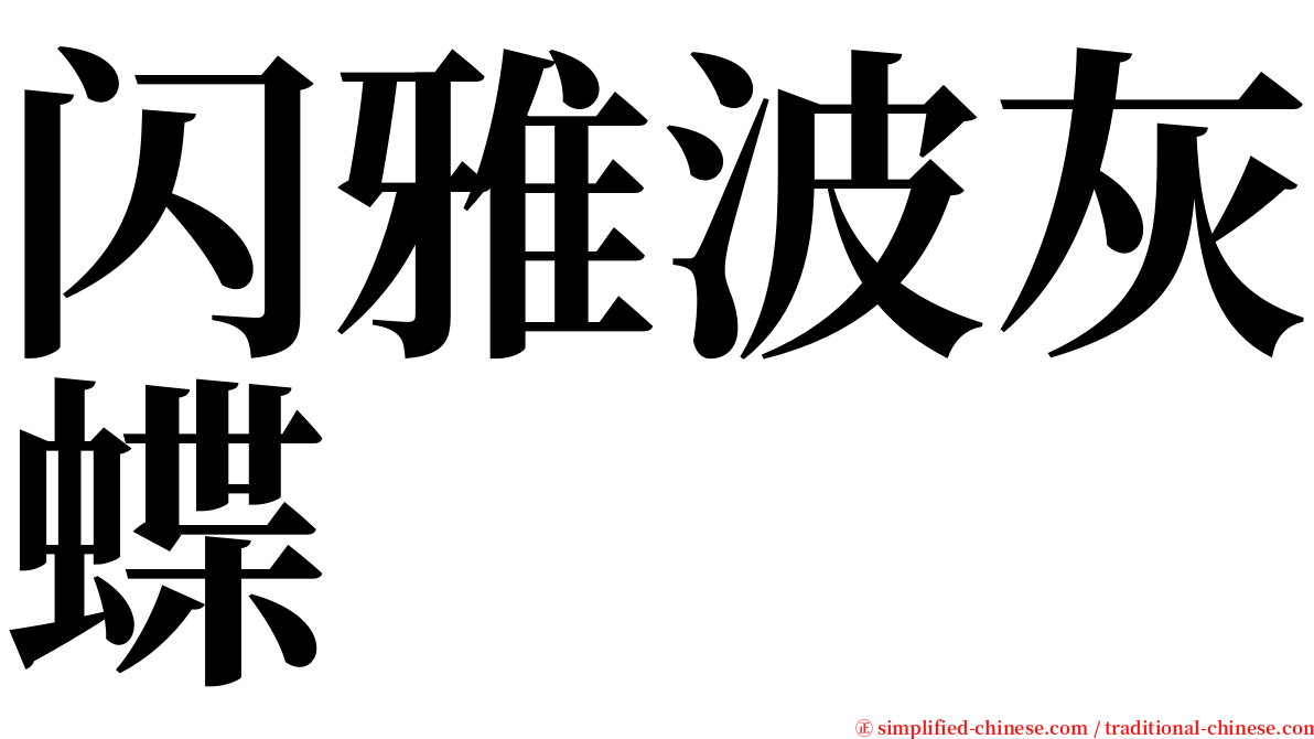 闪雅波灰蝶 serif font