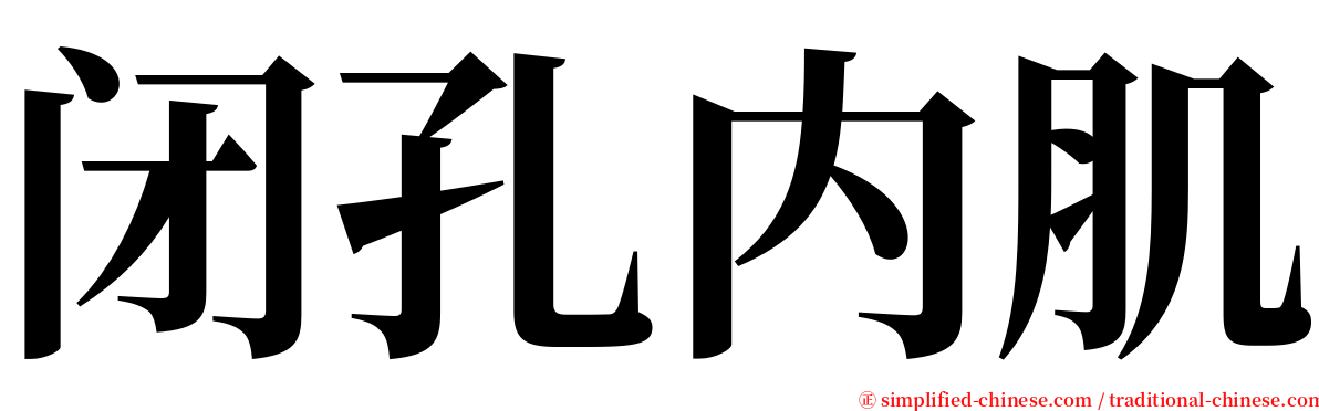 闭孔内肌 serif font