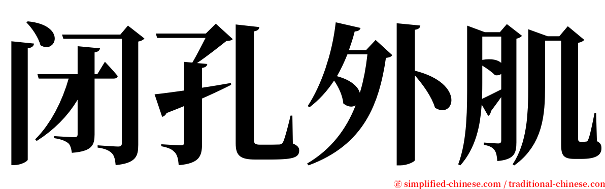 闭孔外肌 serif font