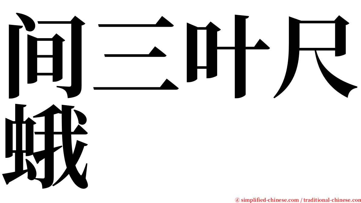 间三叶尺蛾 serif font