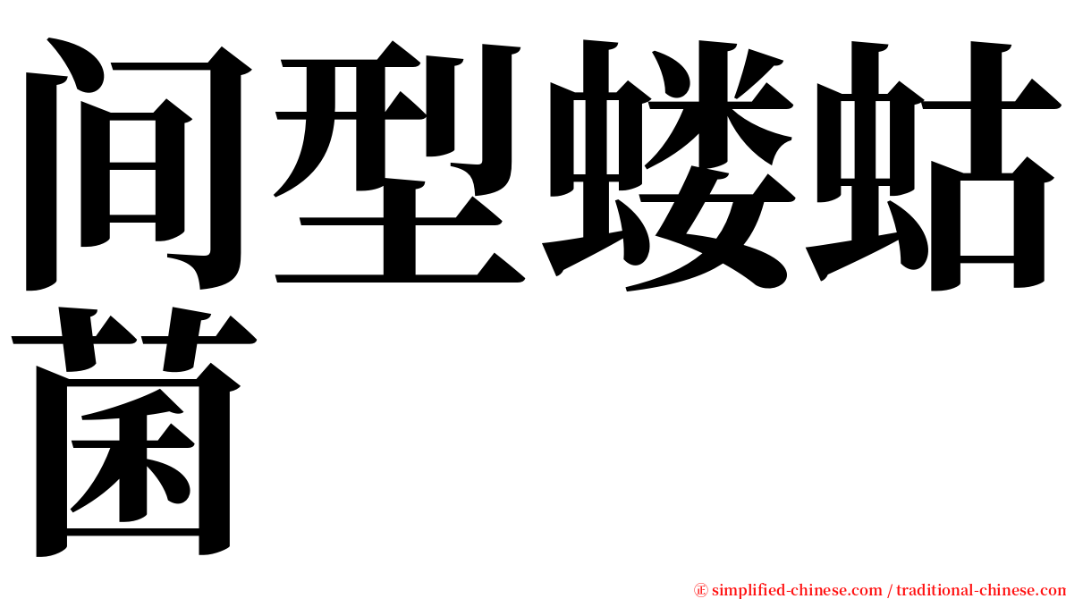 间型蝼蛄菌 serif font