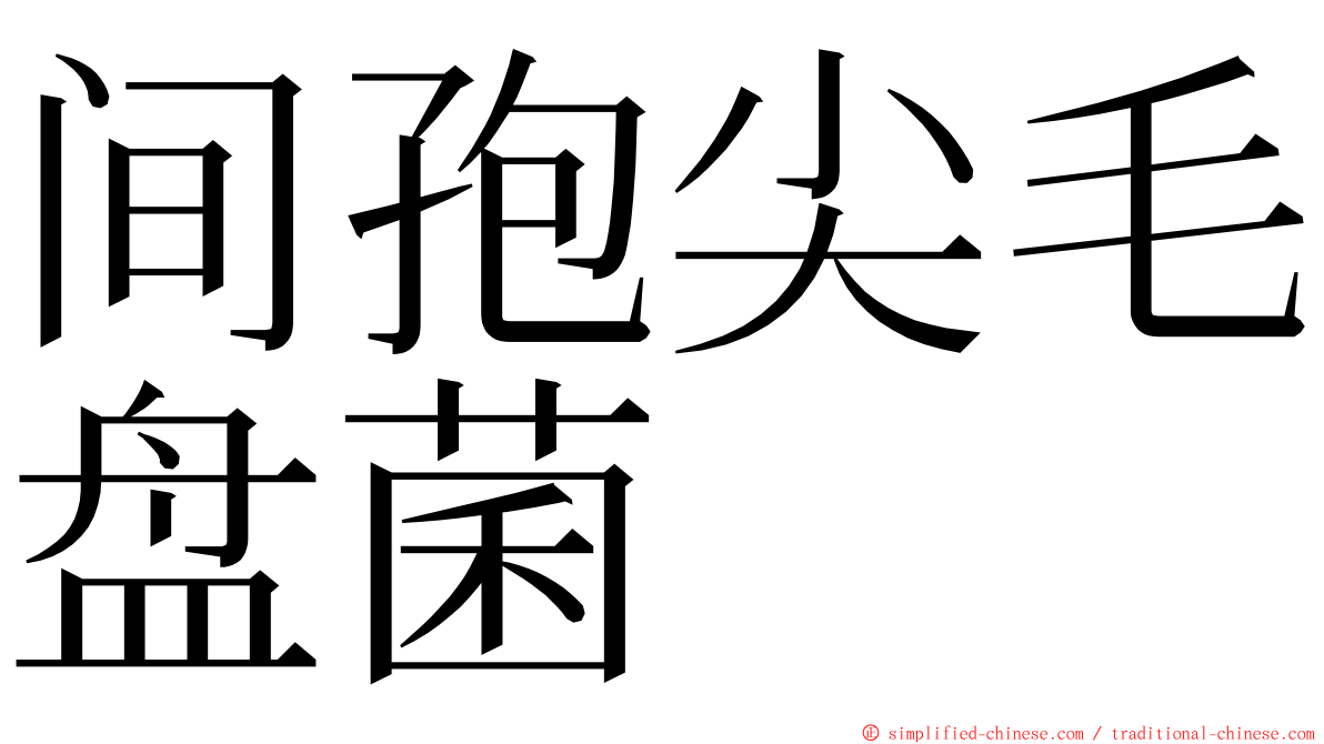 间孢尖毛盘菌 ming font