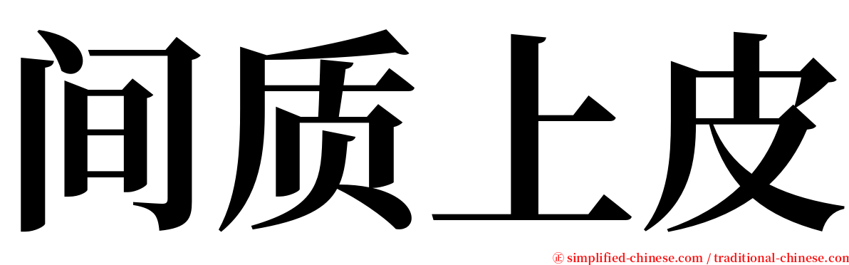 间质上皮 serif font