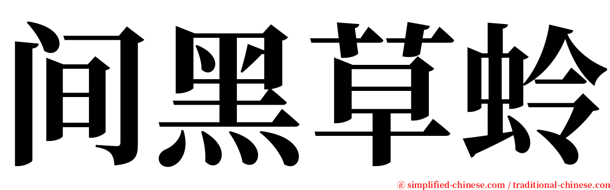 间黑草蛉 serif font