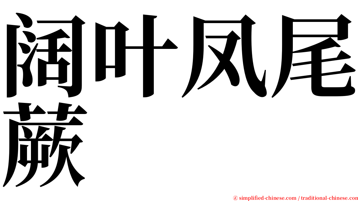 阔叶凤尾蕨 serif font