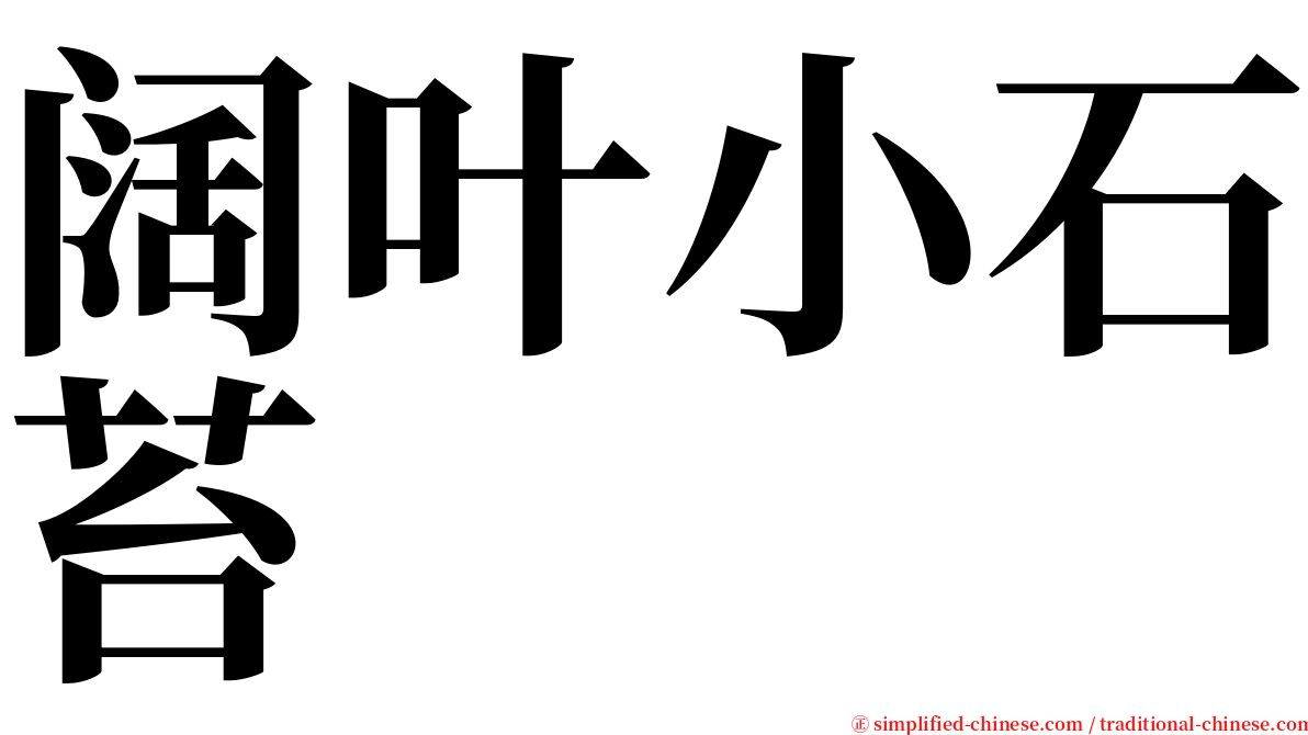 阔叶小石苔 serif font