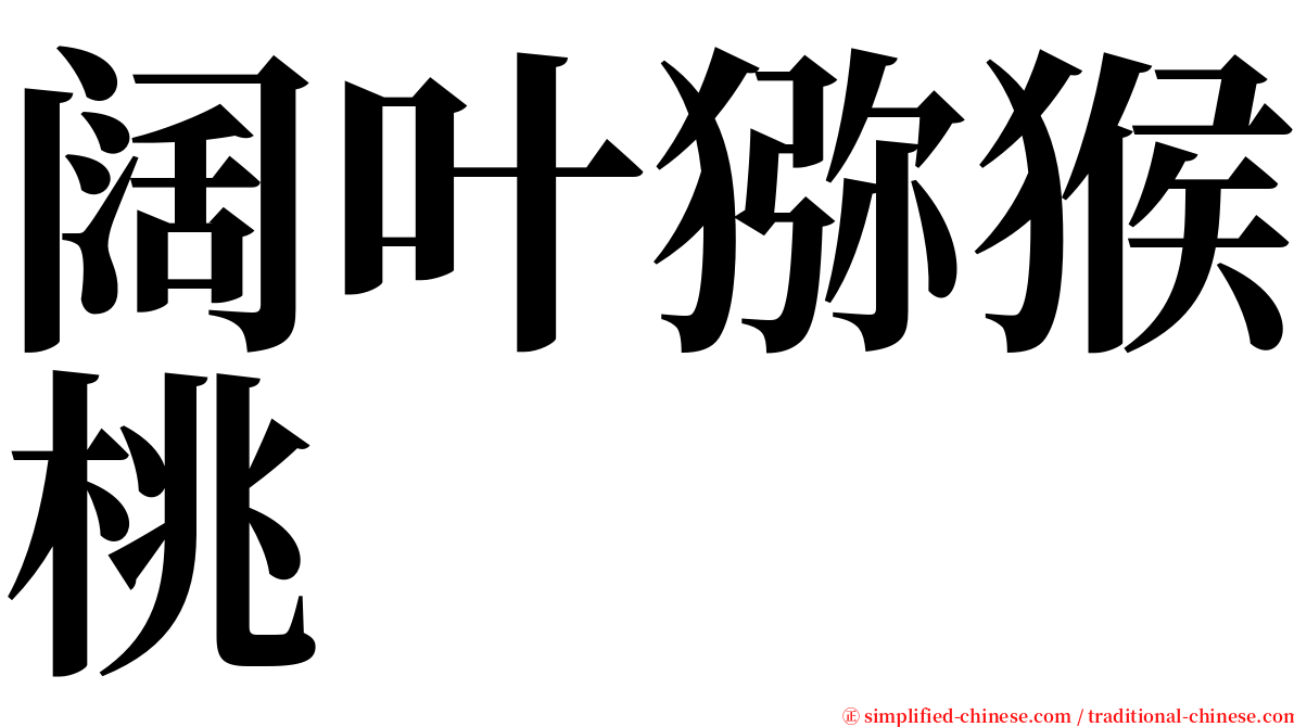 阔叶猕猴桃 serif font