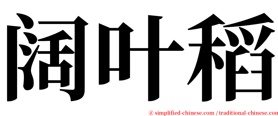 阔叶稻 serif font