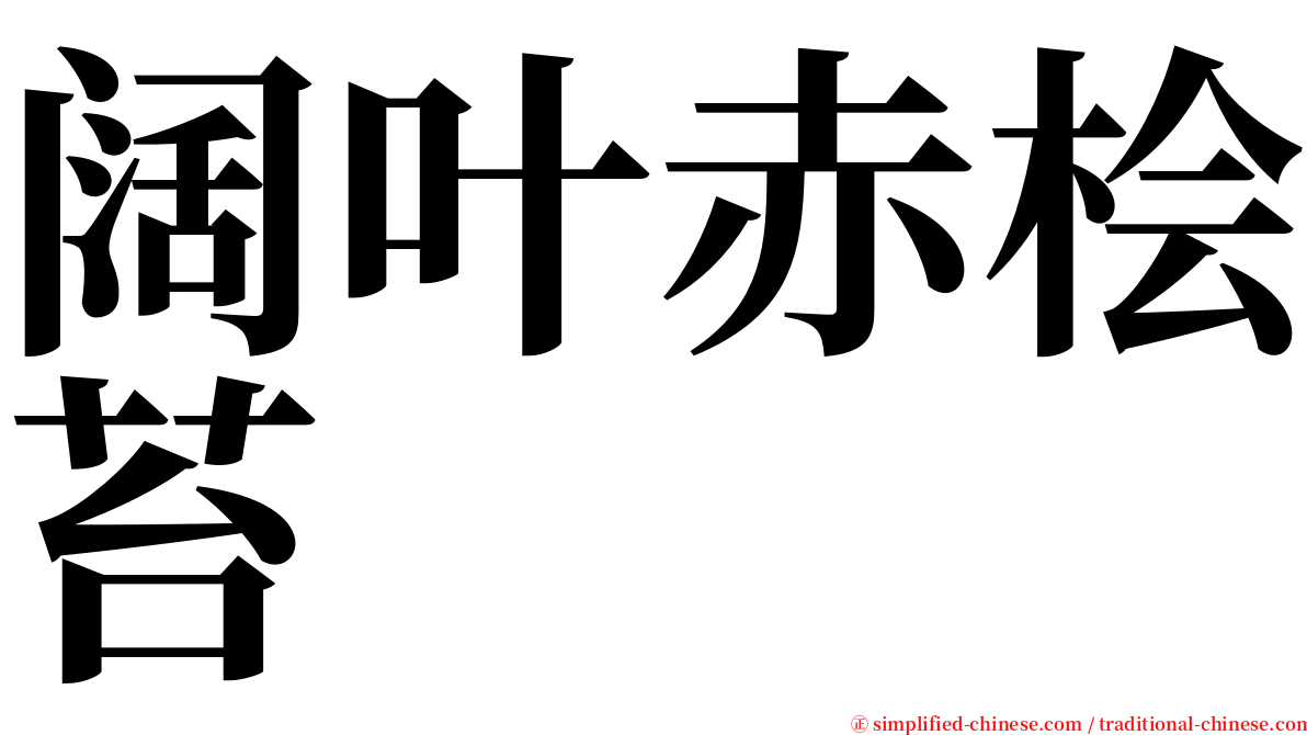 阔叶赤桧苔 serif font
