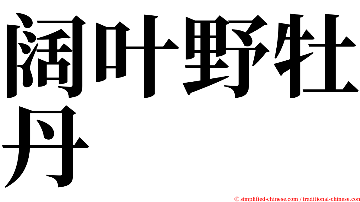 阔叶野牡丹 serif font