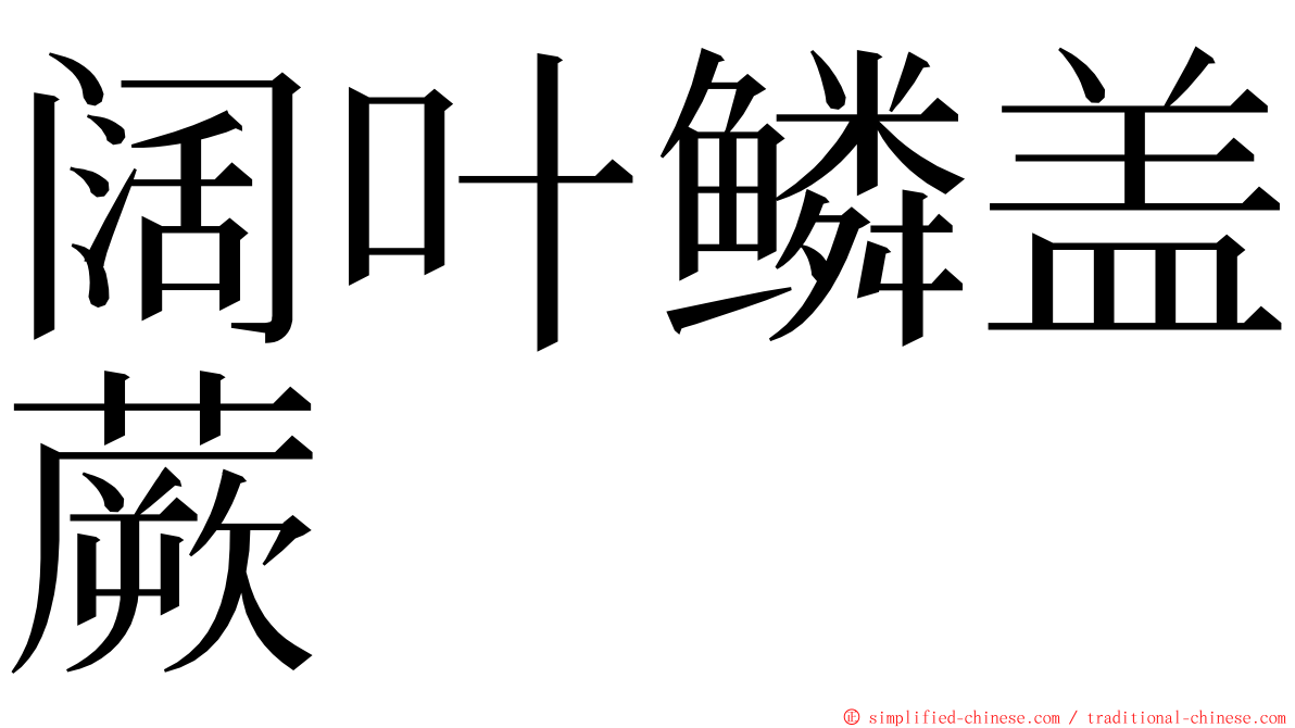 阔叶鳞盖蕨 ming font