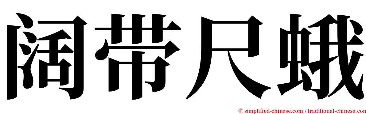 阔带尺蛾 serif font