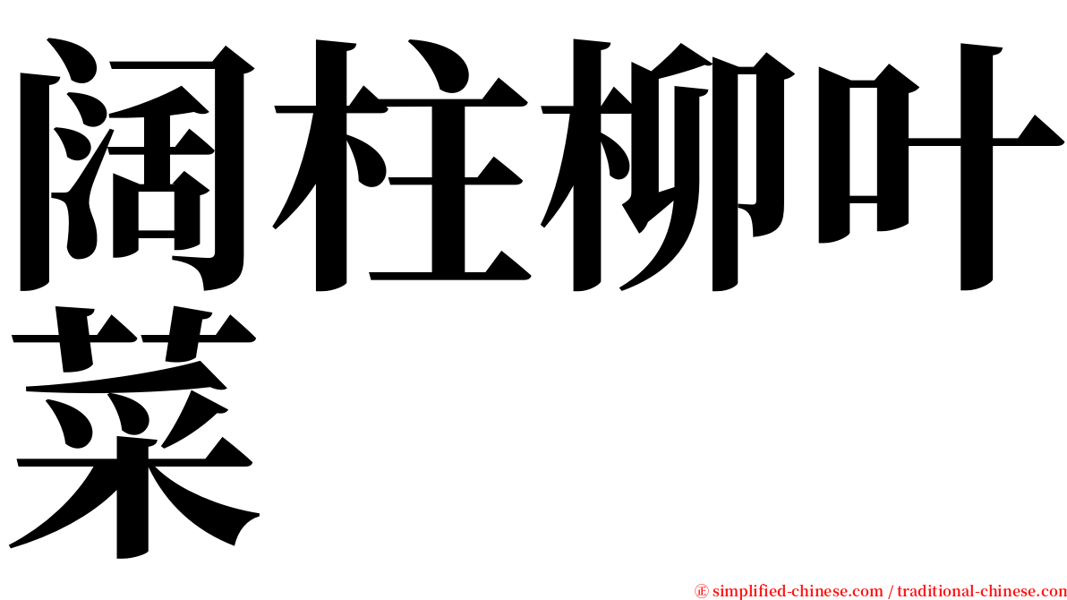 阔柱柳叶菜 serif font