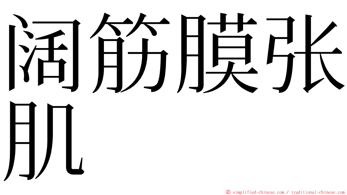 阔筋膜张肌 ming font