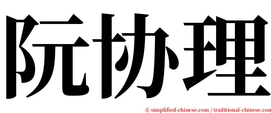 阮协理 serif font