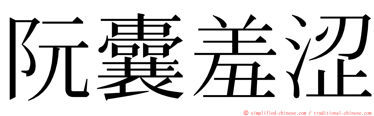 阮囊羞涩 ming font