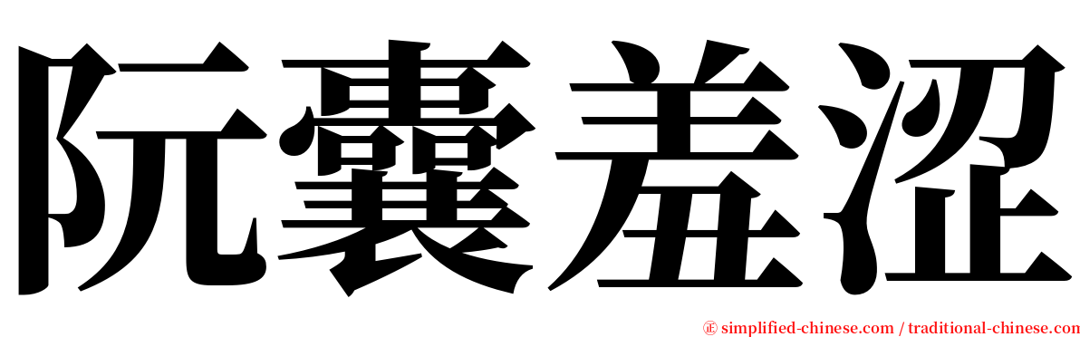 阮囊羞涩 serif font