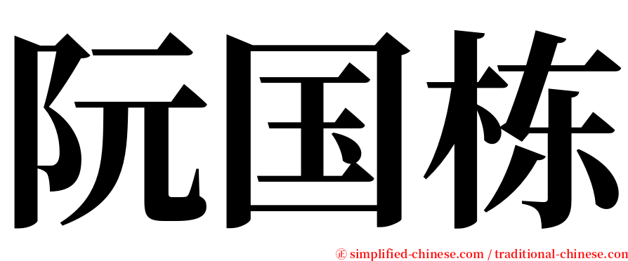 阮国栋 serif font