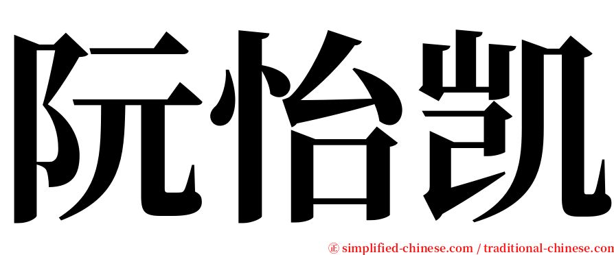 阮怡凯 serif font