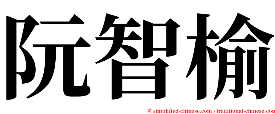 阮智榆 serif font