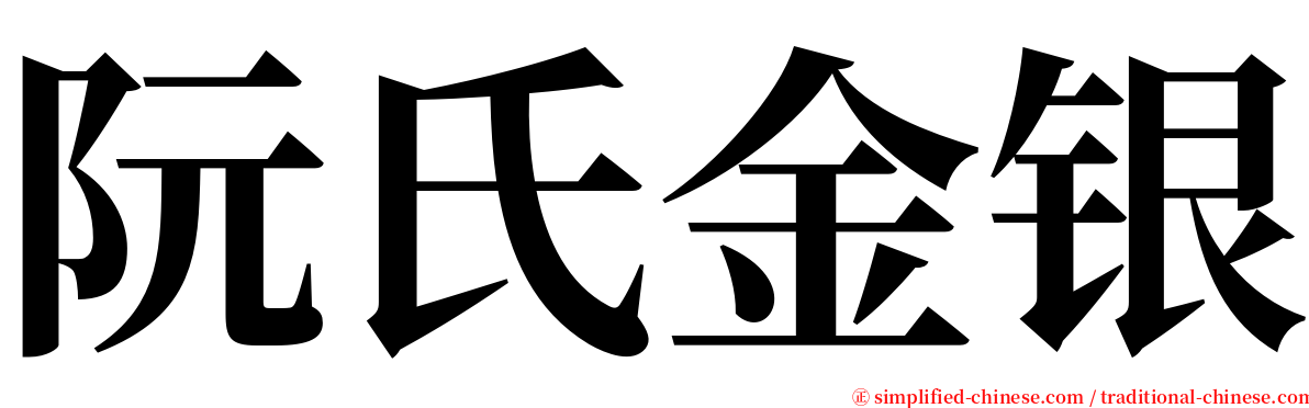阮氏金银 serif font