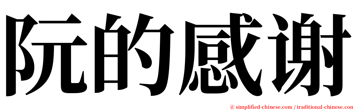 阮的感谢 serif font