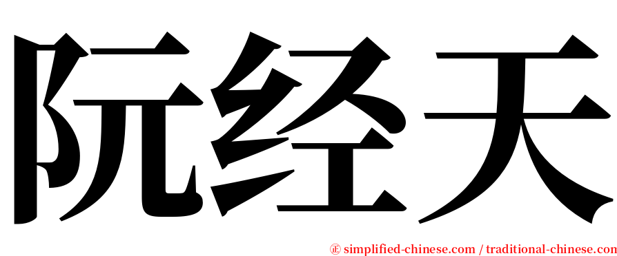 阮经天 serif font