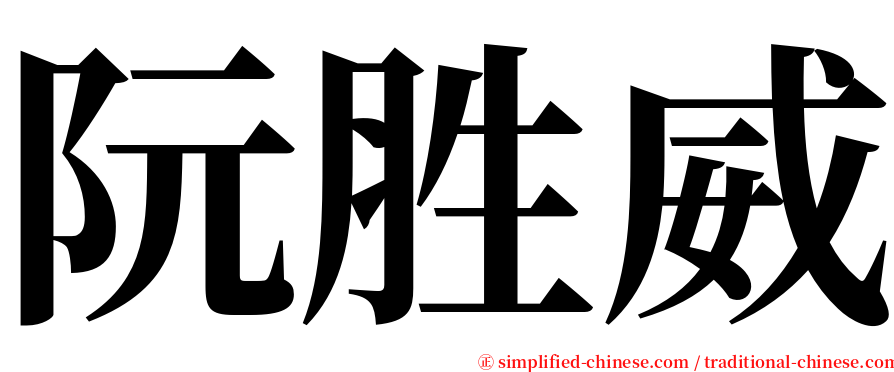 阮胜威 serif font