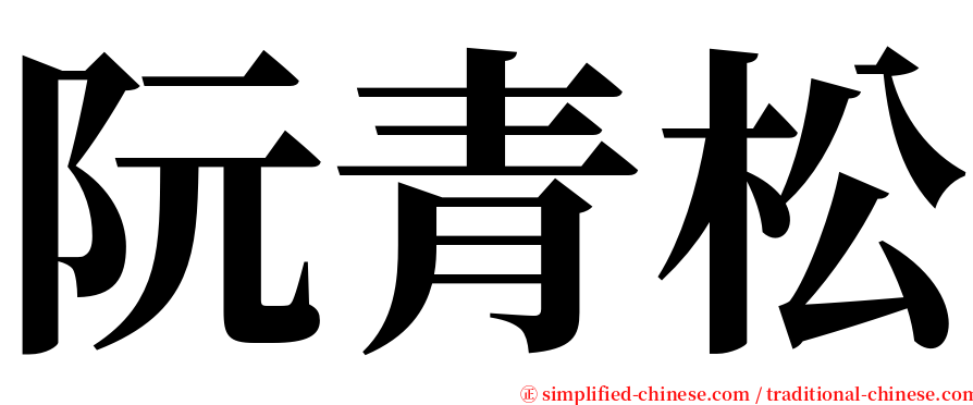 阮青松 serif font