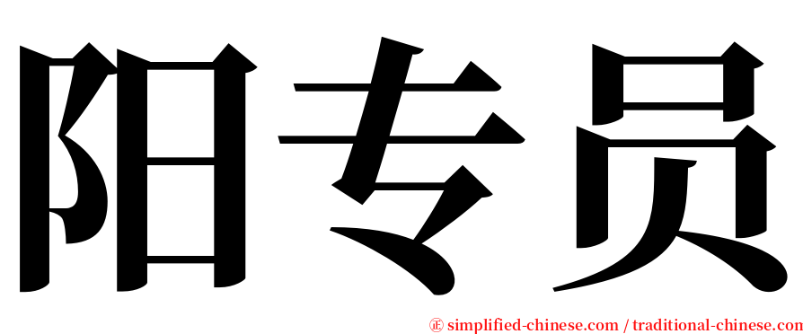 阳专员 serif font