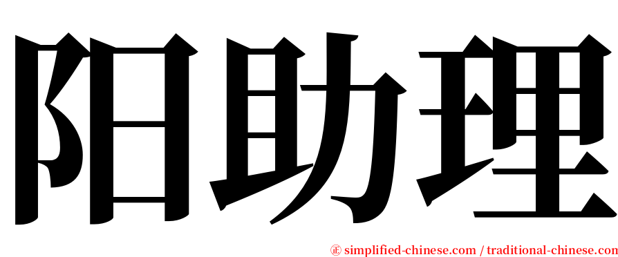 阳助理 serif font