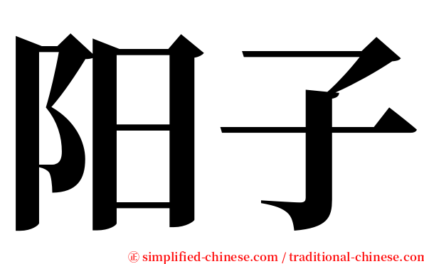 阳子 serif font