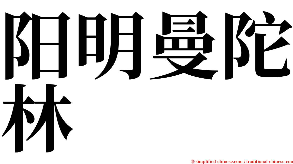 阳明曼陀林 serif font