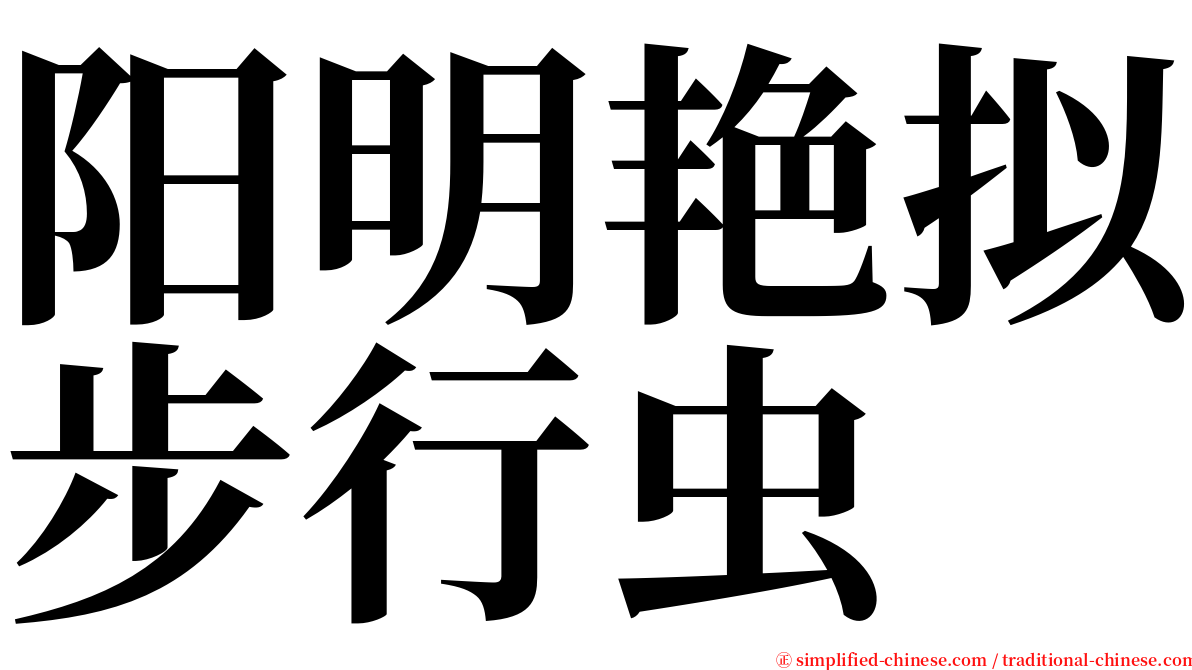 阳明艳拟步行虫 serif font