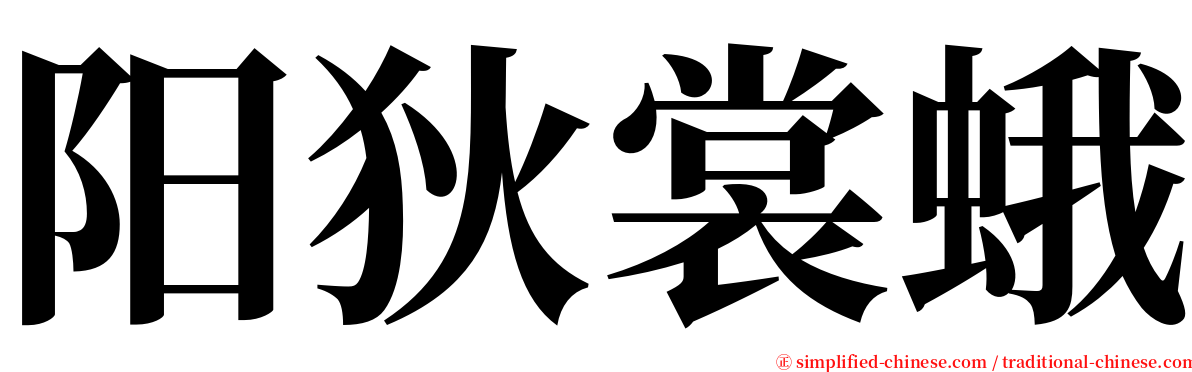 阳狄裳蛾 serif font