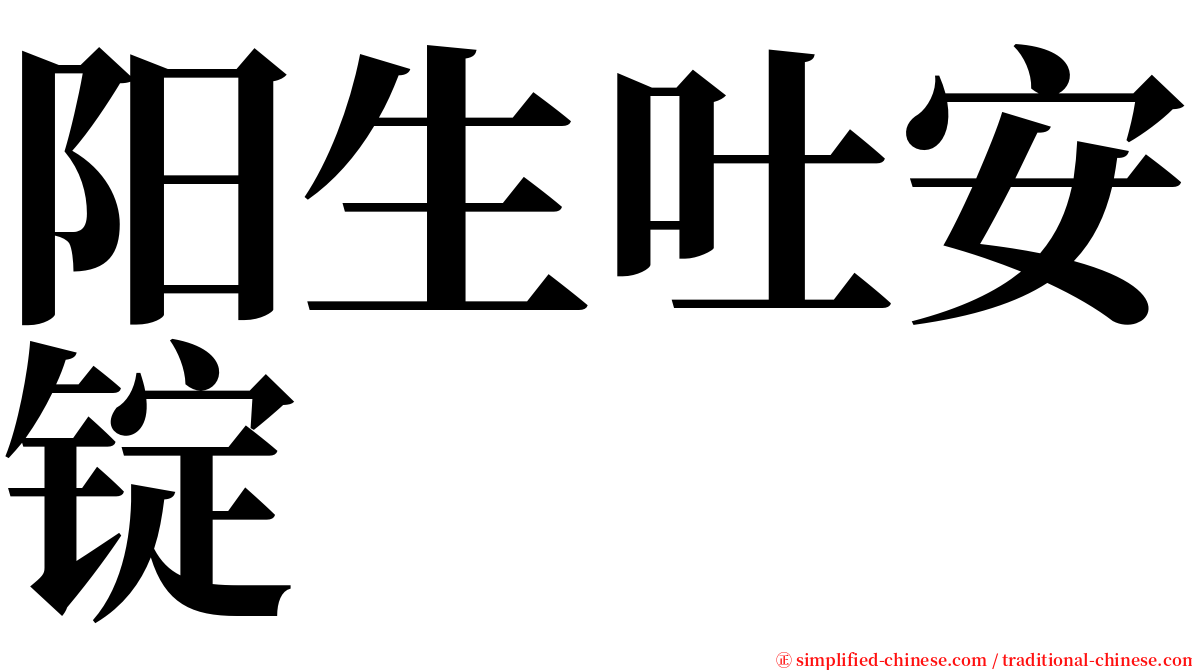 阳生吐安锭 serif font