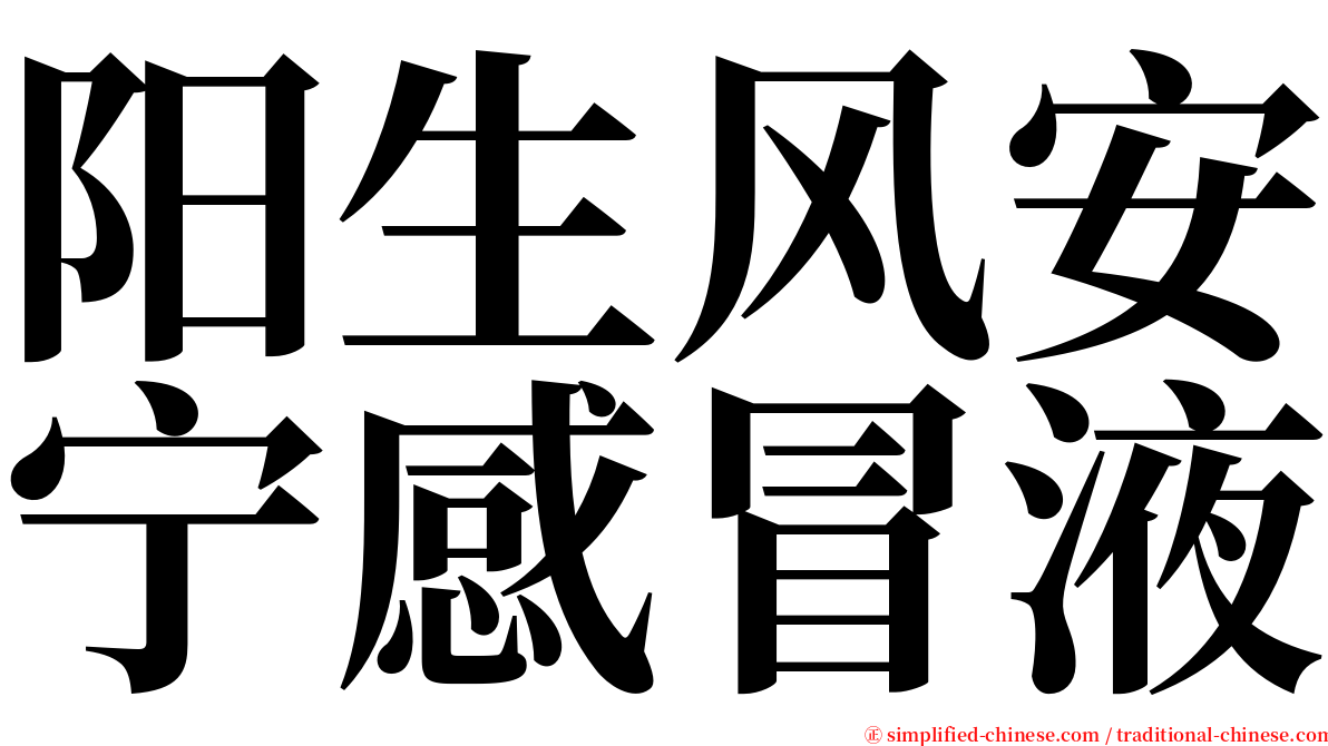 阳生风安宁感冒液 serif font