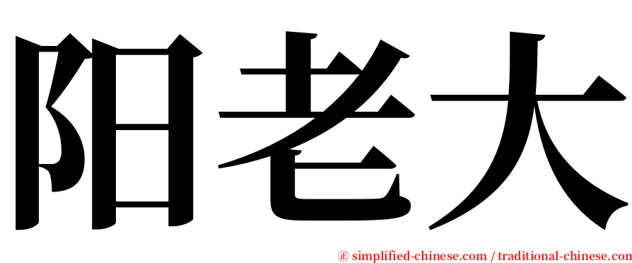 阳老大 serif font