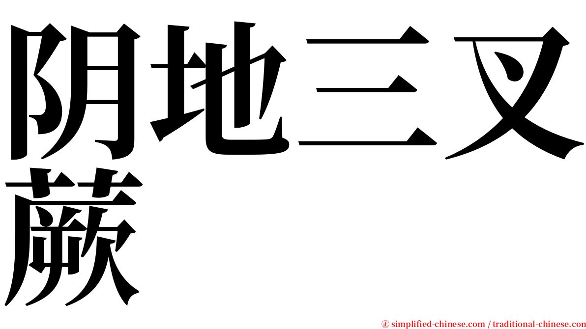 阴地三叉蕨 serif font