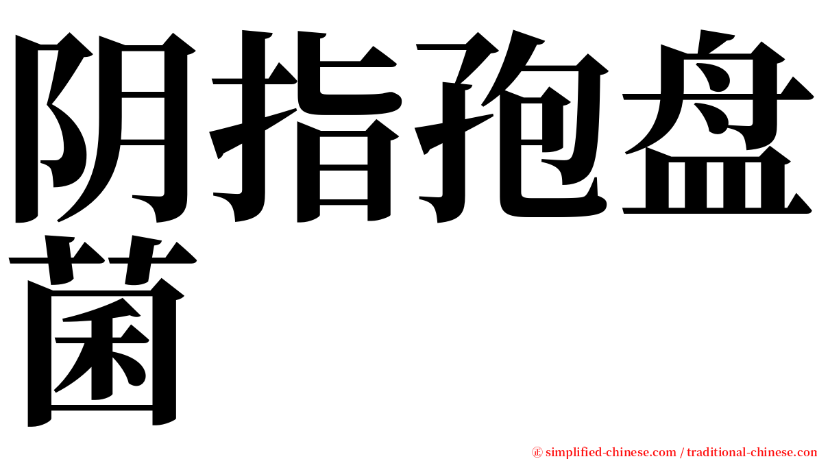 阴指孢盘菌 serif font