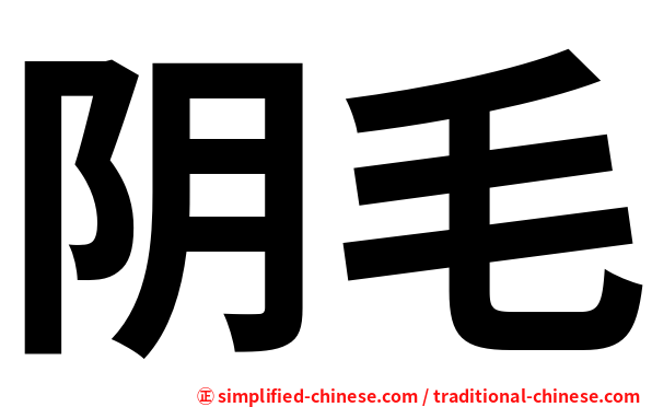 阴毛