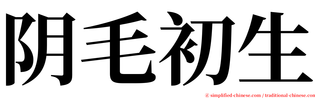 阴毛初生 serif font