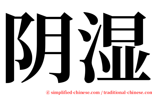 阴湿 serif font