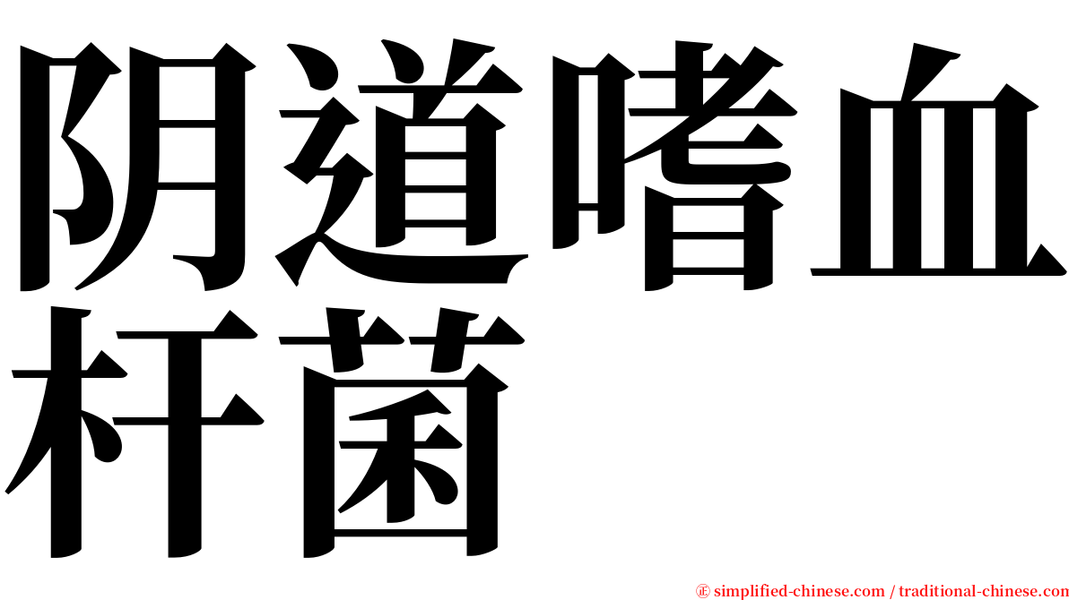 阴道嗜血杆菌 serif font