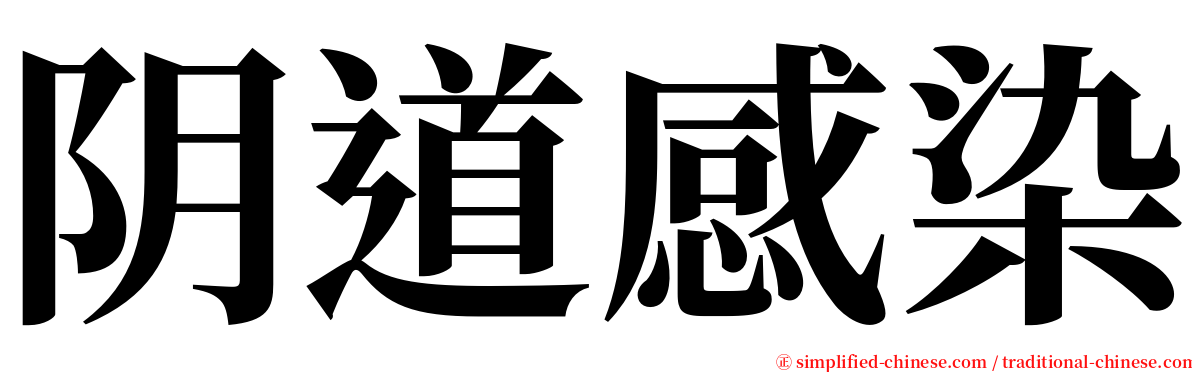 阴道感染 serif font